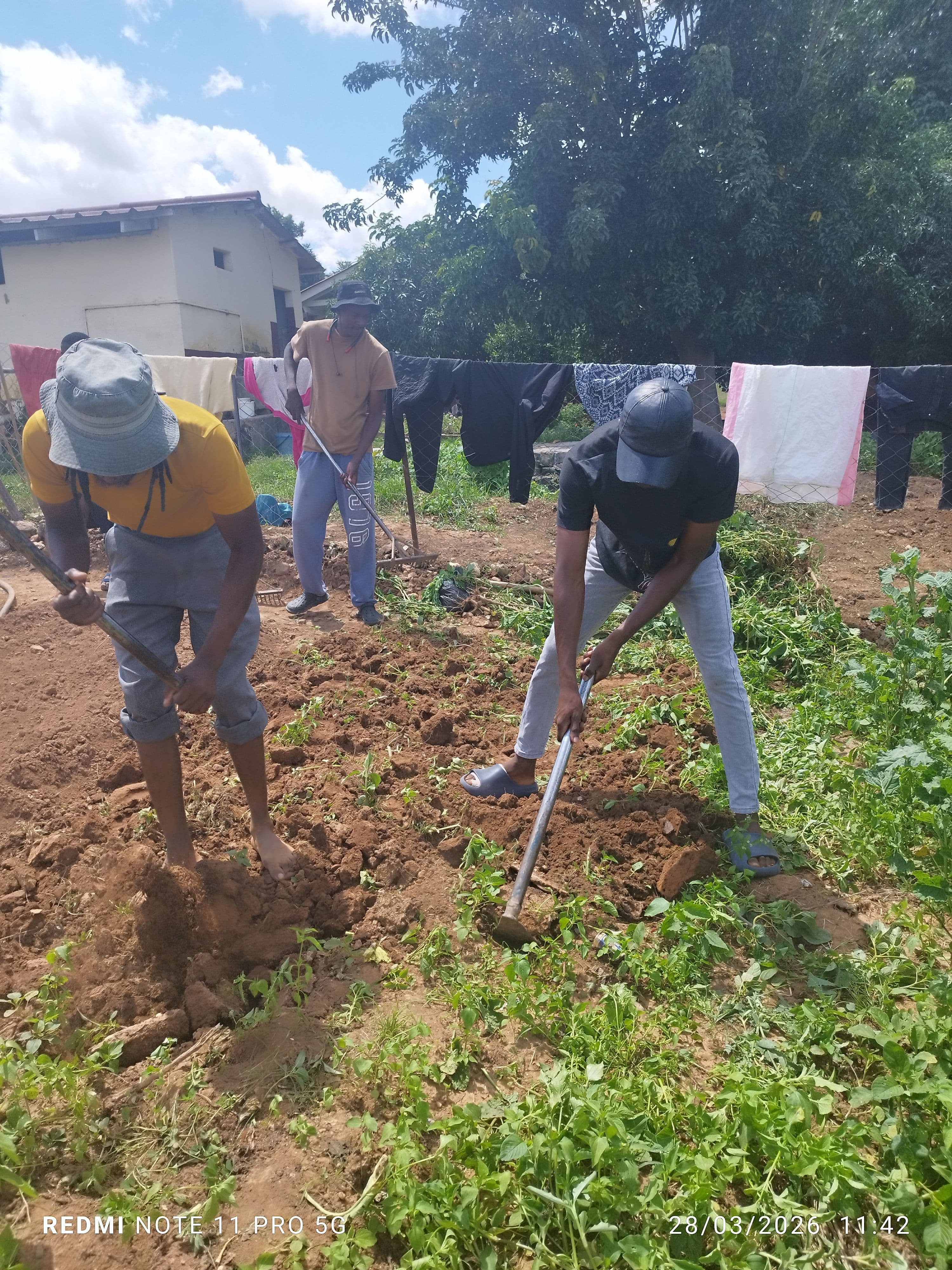 Vegetable Cultivation & Community Care – Chengetanai Old People’s Home
