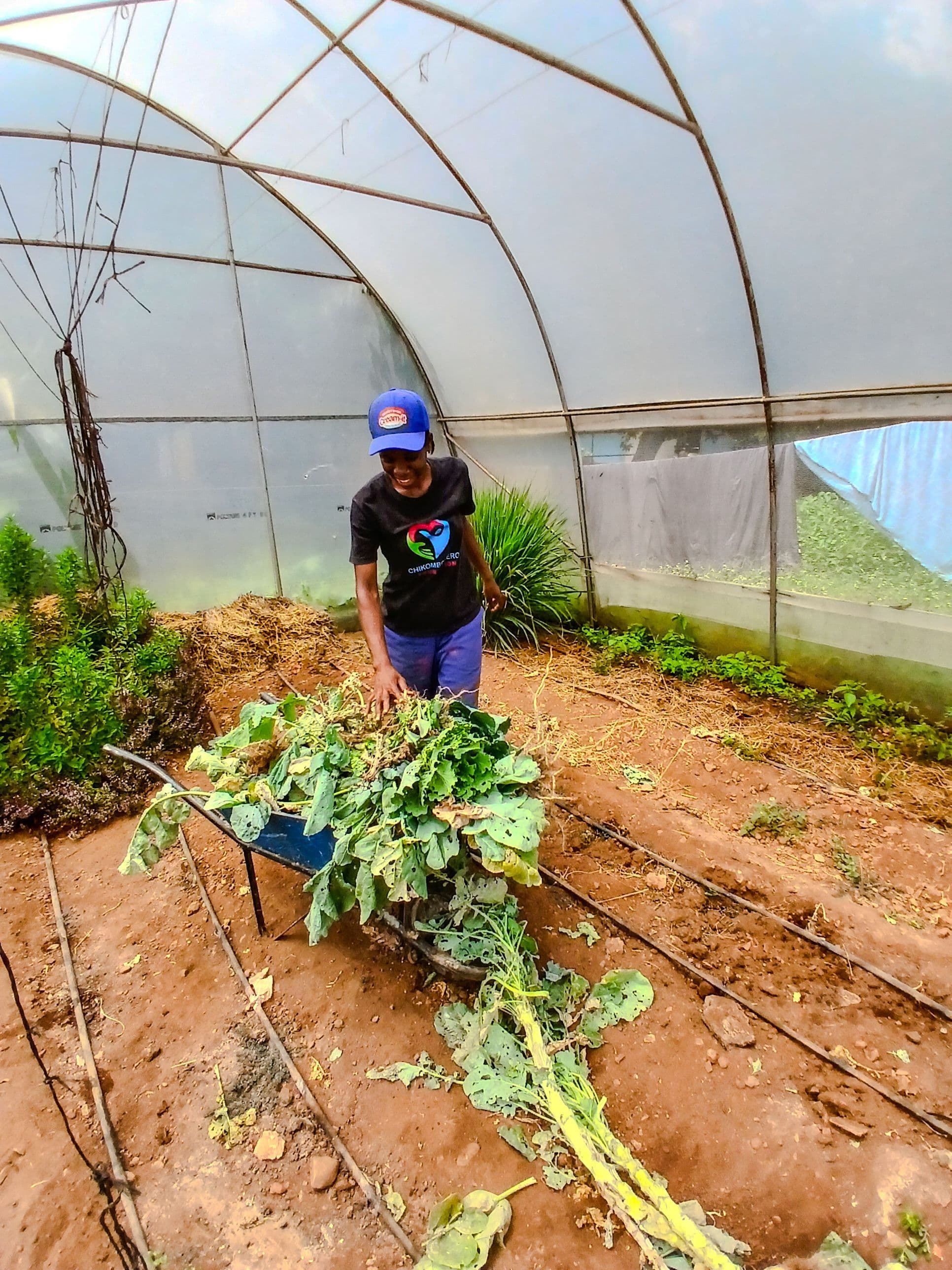 Sustainable Garden Project – Nazareth Old People’s Home
