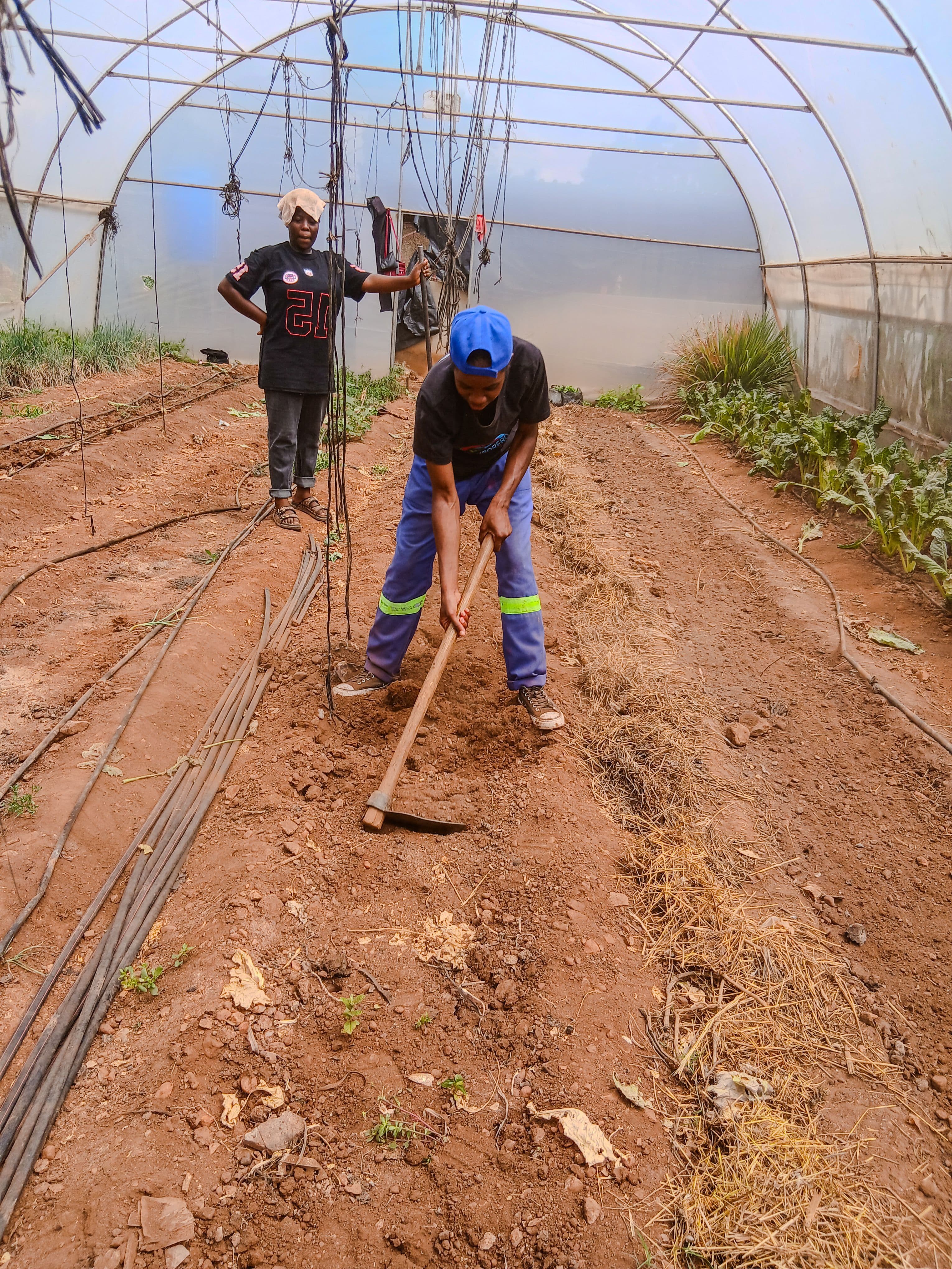 Sustainable Garden Project – Nazareth Old People’s Home