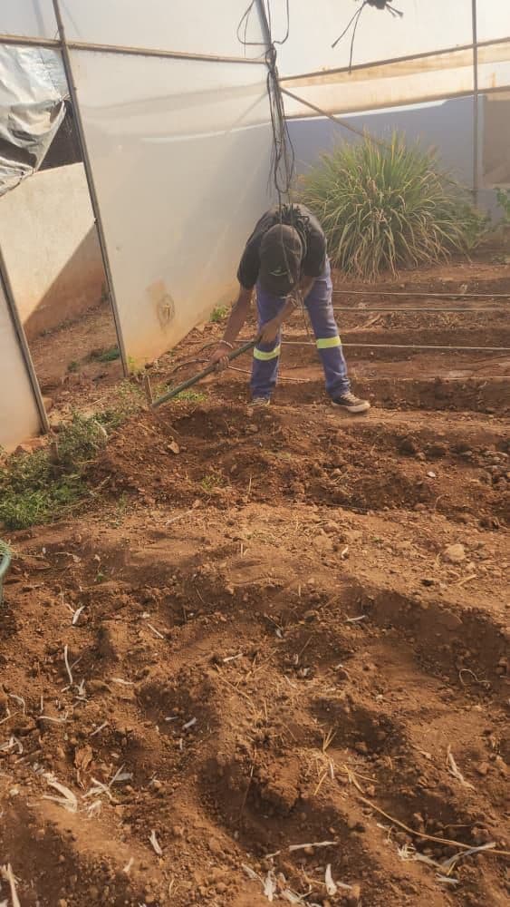 Nazareth Old People's Home Vegetable Garden Development