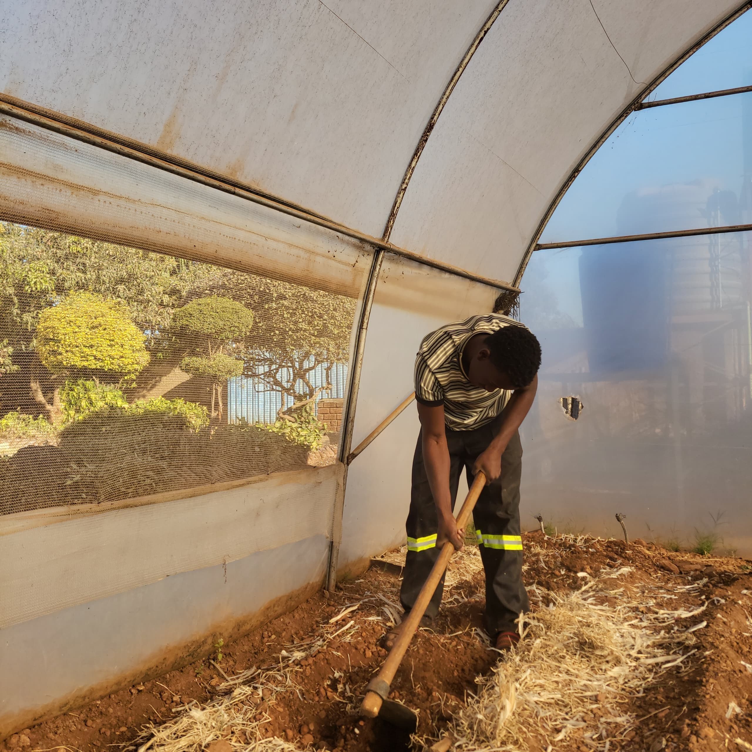 Nazareth Old People's Home Vegetable Garden Development